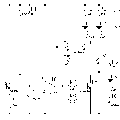 myirda.gif
